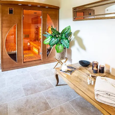 Château De Vidal Saint-Vidal