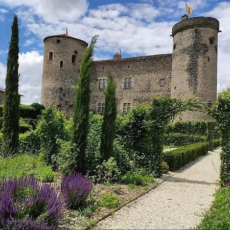 Chateau De Saint Vidal 5*
