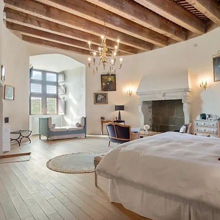 فندق Chateau De Saint Vidal 5*