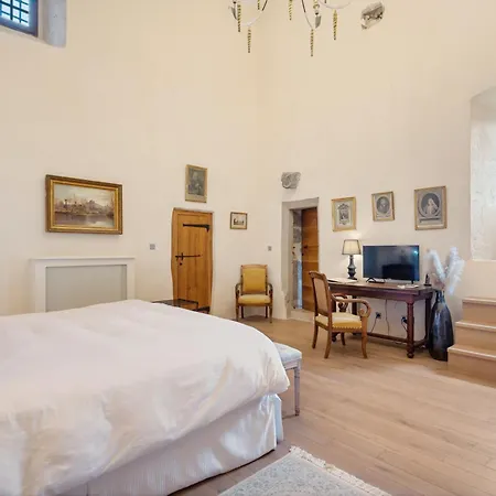 Château De Vidal Saint-Vidal