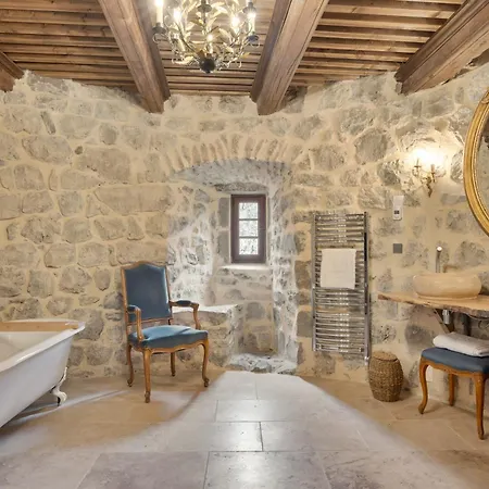 Château De Vidal Saint-Vidal