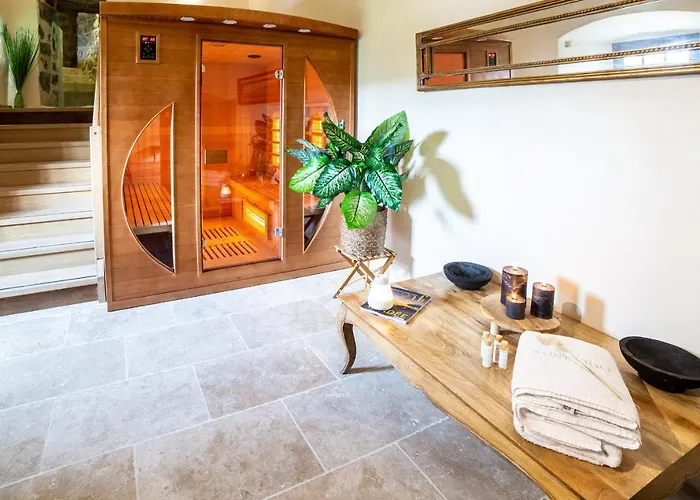 Chateau De Vidal Saint-Vidal